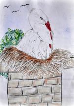 Hroncová Martina.jpg